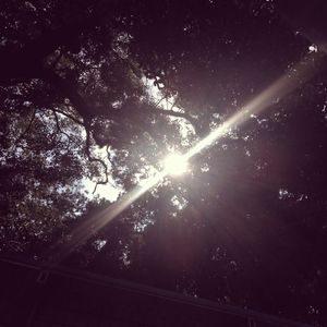 乖让我尿在里面(H)
